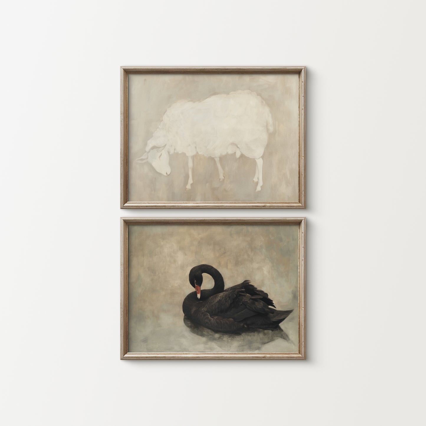 Two framed artworks of a sheep and a black swan on a white wall.