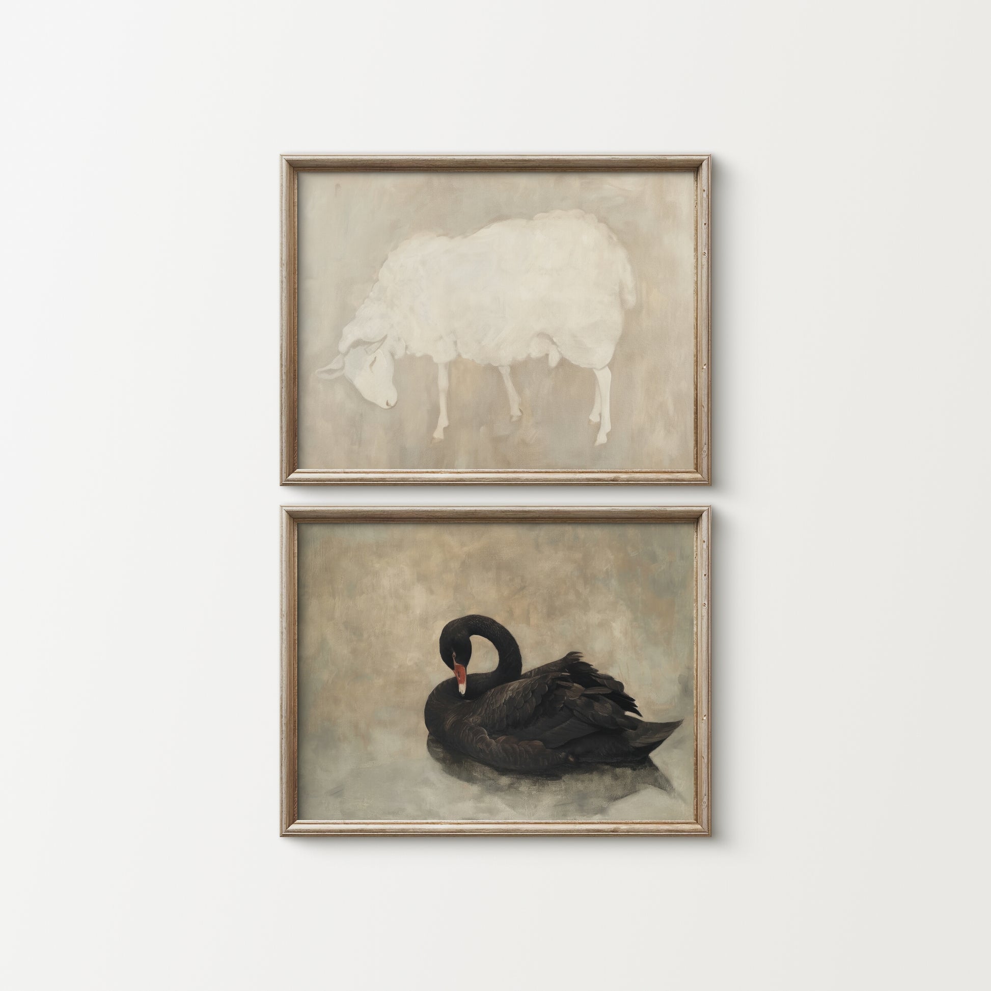 Two framed artworks of a sheep and a black swan on a white wall.