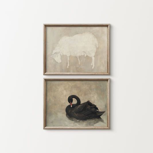 Two framed artworks of a sheep and a black swan on a white wall.