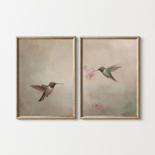 Two framed paintings of hummingbirds on a white wall