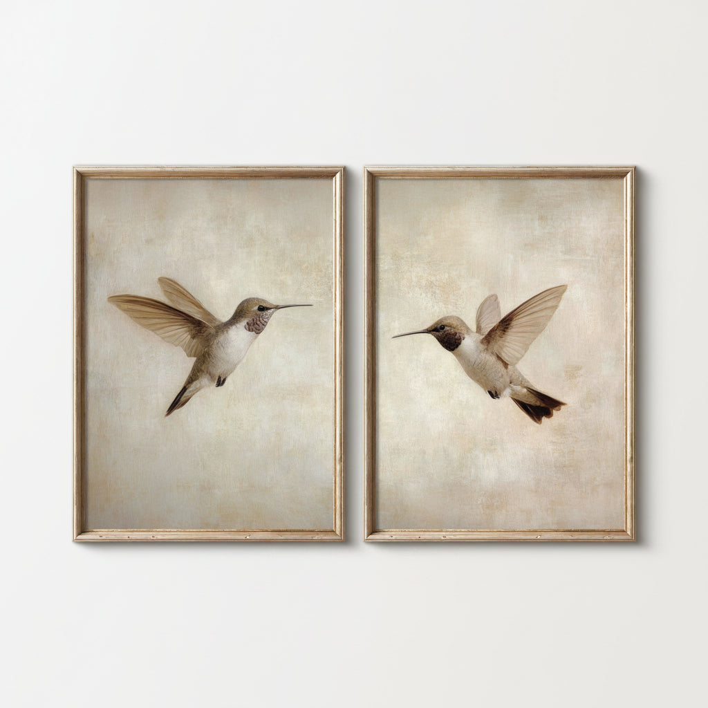Two framed prints of hummingbirds on a white background