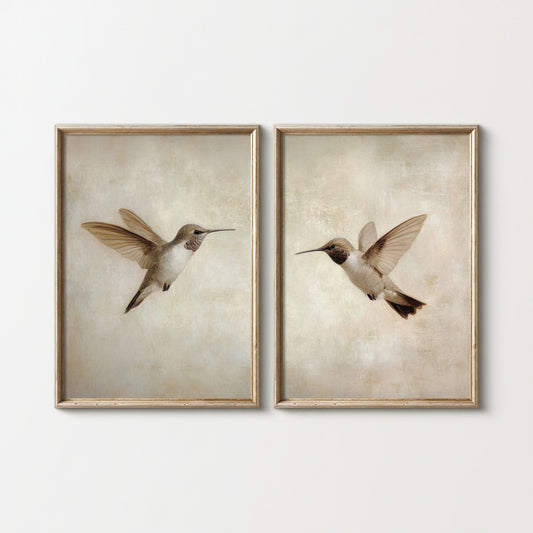 Two framed prints of hummingbirds on a white background