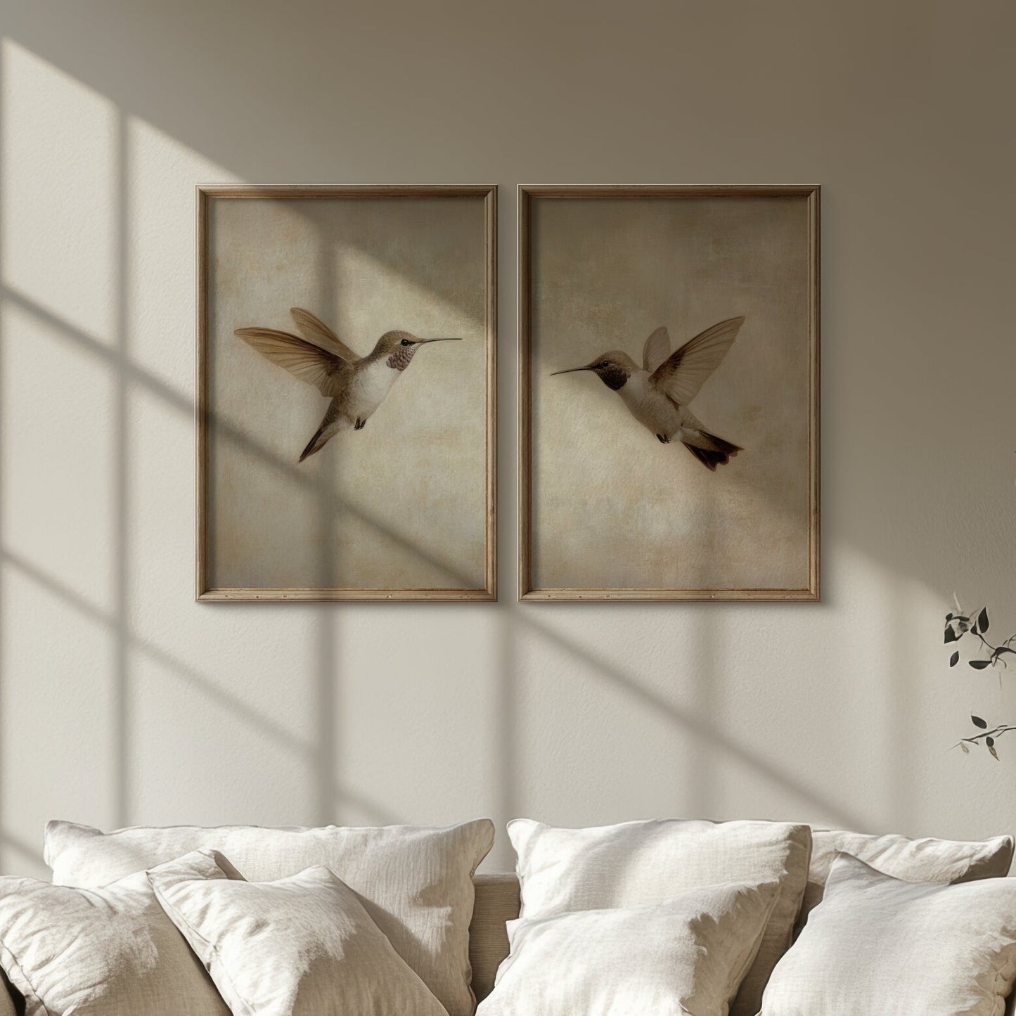 Two framed artworks of hummingbirds on a wall with sunlight casting shadows.