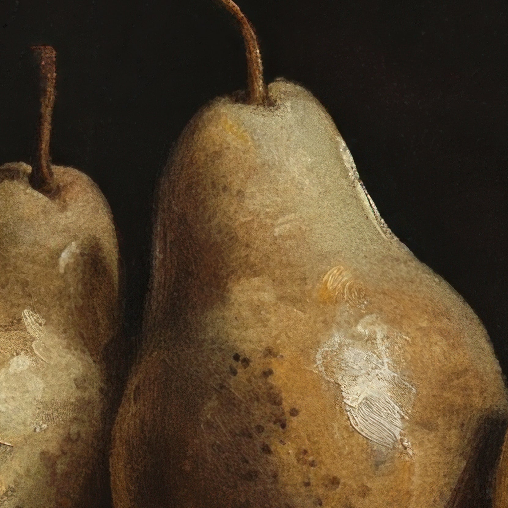 Two brown pears with visible texture on a dark background