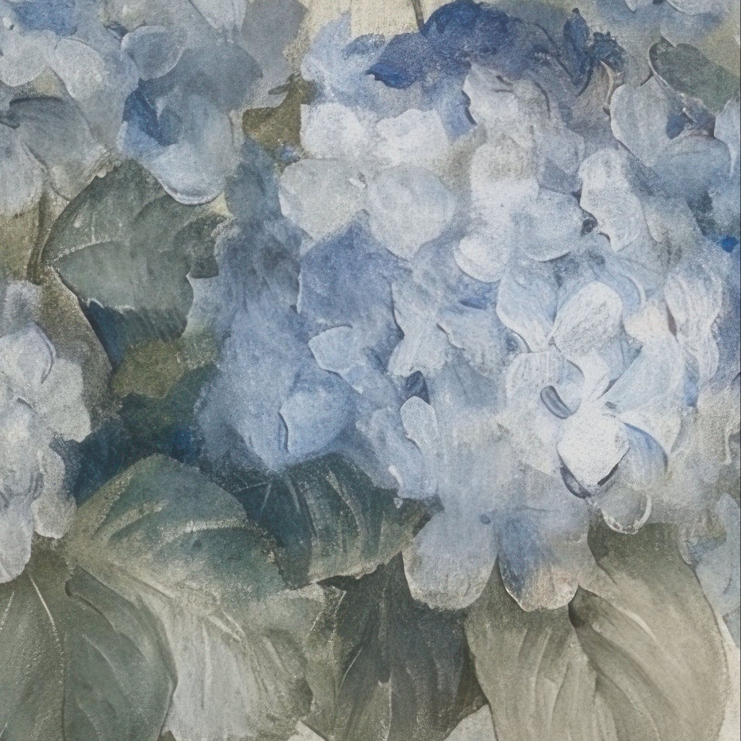 Close-up of blue and white hydrangea flowers with green leaves