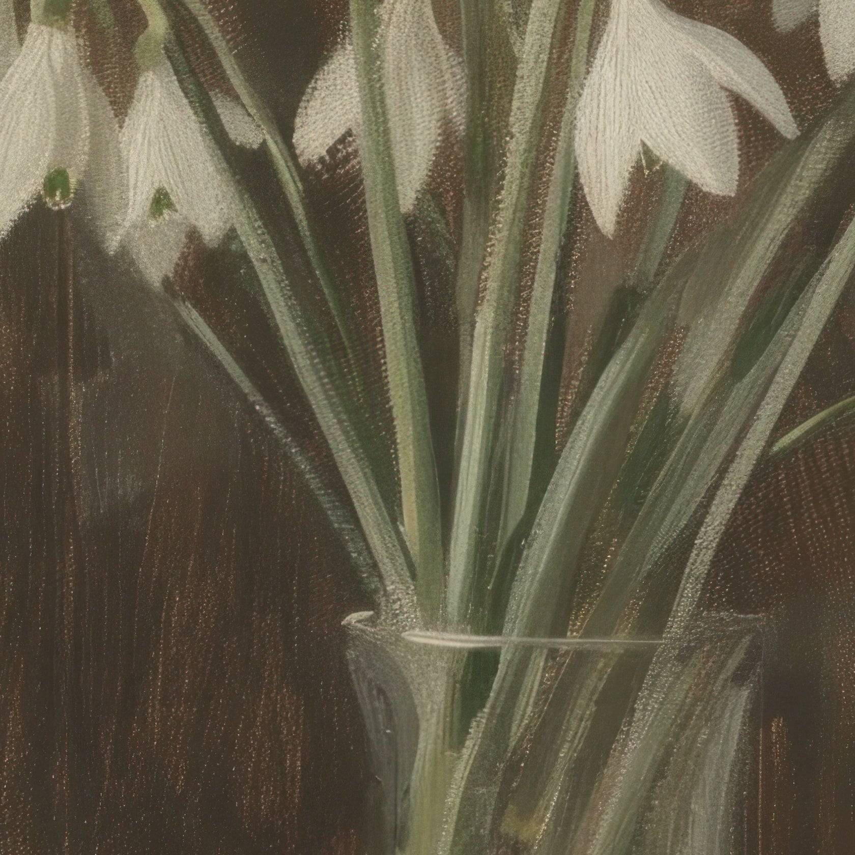 Illustration of snowdrops in a glass vase against a dark background