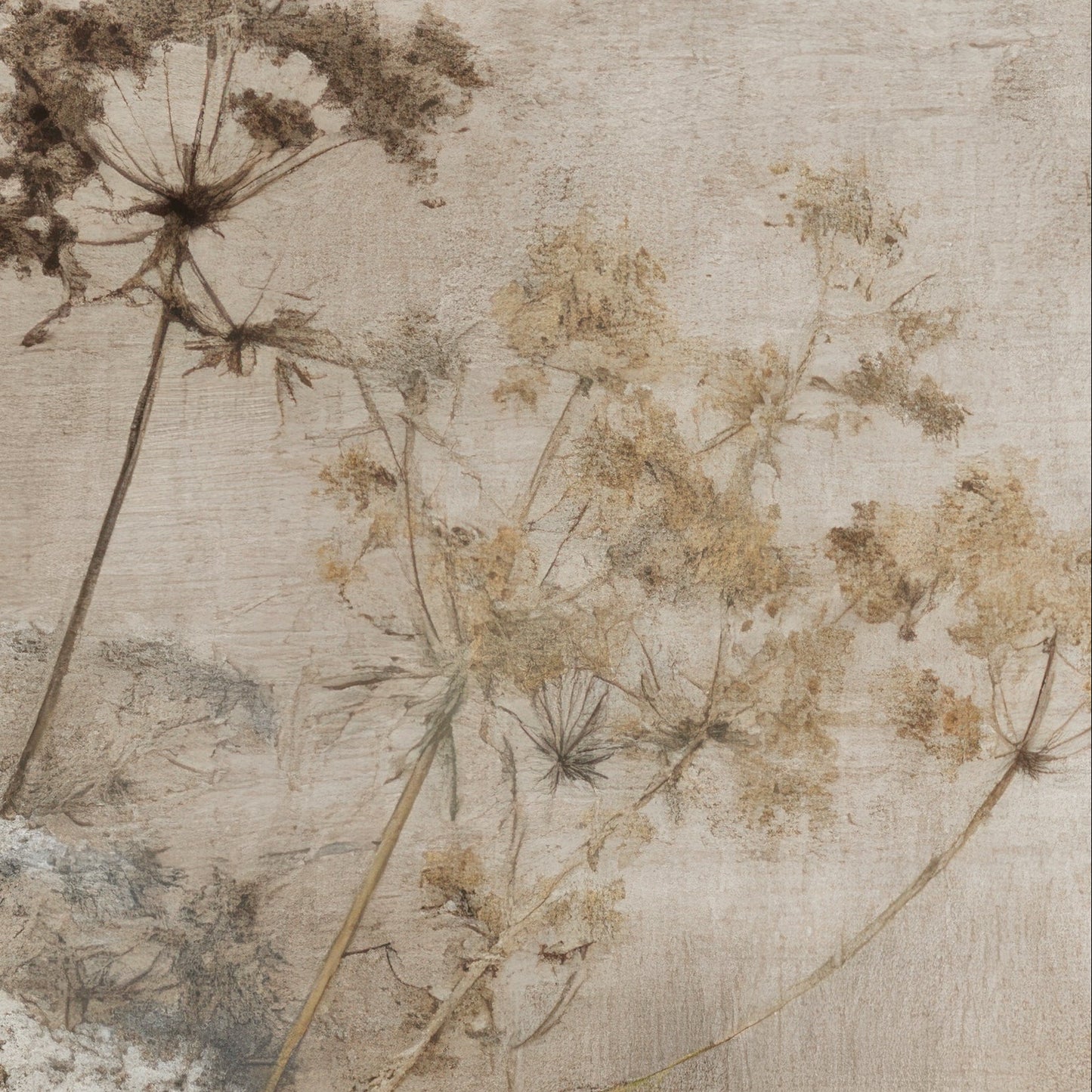 Artistic depiction of dried plants on a textured beige background